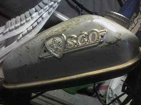 Sco Populær billede 6