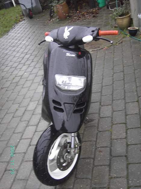 Piaggio Typhoon -Solgt- billede 6