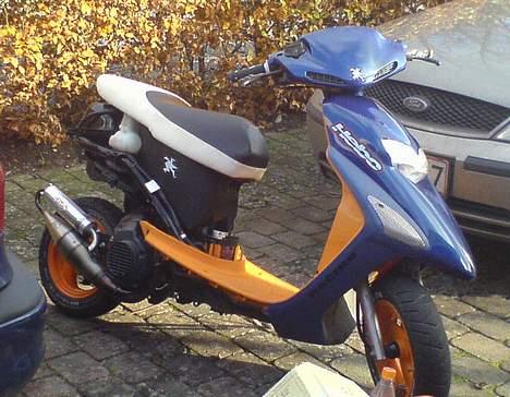 Honda SFX SOLGT - Uden de bagerste skjolde. Ingen rust overhovedet! billede 7