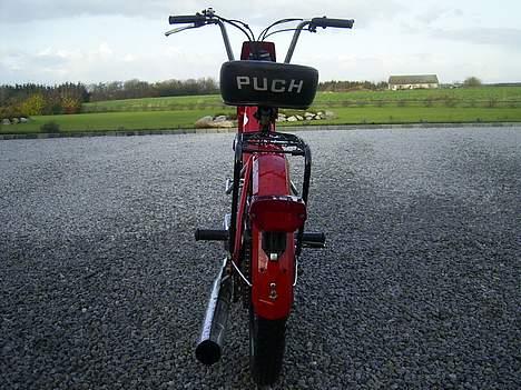 Puch maxico billede 4