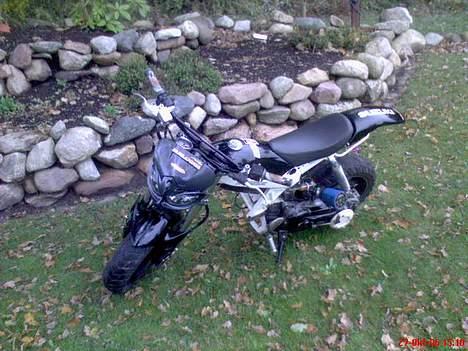 Suzuki Street Magic - Byttet   billede 6