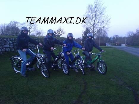 Puch k--TEAMMAXI.DK (Solgt) billede 12