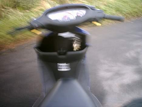 Honda sfx *SOLGT* billede 6