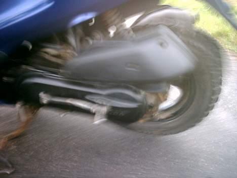 Honda sfx *SOLGT* billede 12