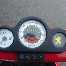 Peugeot Speedfight 2 wrc 206