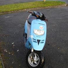 Piaggio Typhoon SOLGT