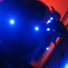 PGO hot 50 total skadet