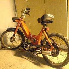 Puch Maxi | SOLGT |