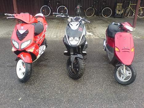 Peugeot Speedfight 2 wrc 206 billede 5