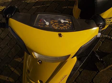 Yamaha Jog AS - Hverdagscruiser. billede 10