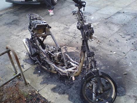 Giantco sprint (brændt af) billede 1