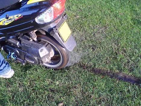 Giantco sprint (brændt af) billede 5