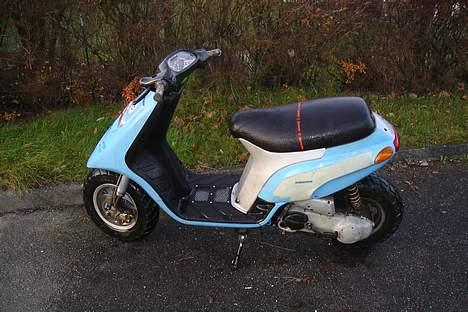 Piaggio Typhoon SOLGT - Vilddyret  billede 1