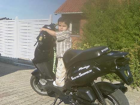 PGO PMX (Solgt) billede 5