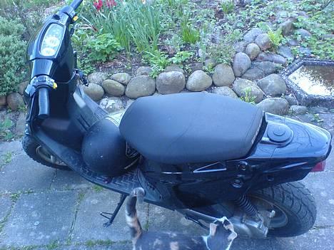 PGO Hot 50 til salg billede 2