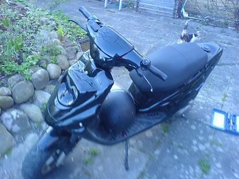 PGO Hot 50 til salg billede 3