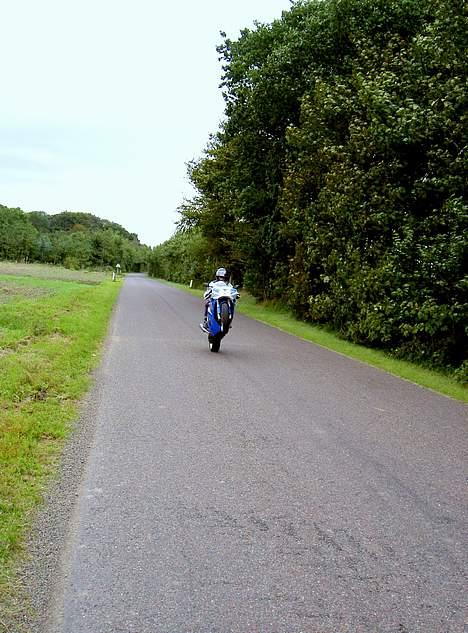 Suzuki Street magic billede 8