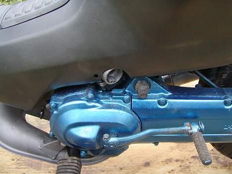 Honda wallaroo "solgt" billede 4