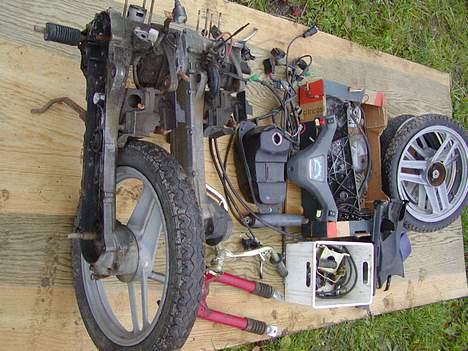 Honda wallaroo "solgt" billede 6