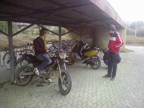 Derbi Senda (byttet) billede 14