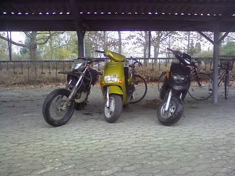 Derbi Senda (byttet) billede 16