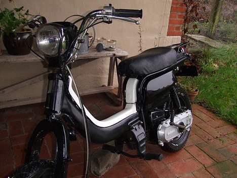 Suzuki Fz50 billede 5