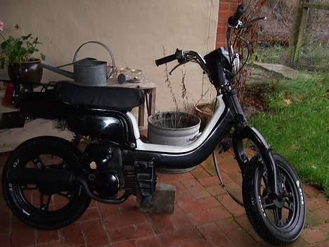 Suzuki Fz50 billede 7