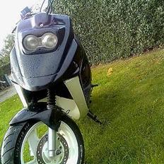 PGO Hot 50 //SOLGT\\