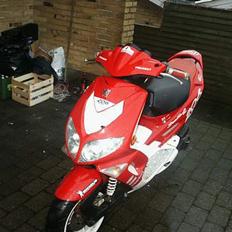 Peugeot Speedfight WRC 206