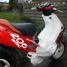 Peugeot Speedfight WRC 206