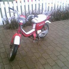 Suzuki • Fz''5o • SOLGT! ..