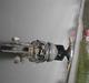 Yamaha jog