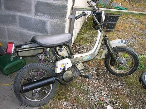 Suzuki Fz 50 Qano`s SOLGT billede 14