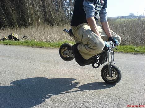 Polini 911R LC. >>TIL SALG<<  - Stunt-rider him self. Aka: Rygaard$ NYT: 25 Marts. billede 10