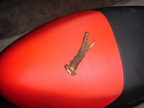 Aprilia Sonic  (Solgt) billede 5