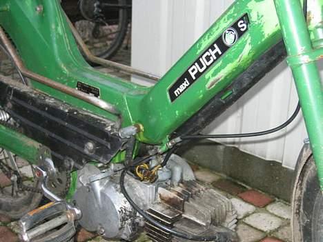 Puch Maxi P (solgt) billede 3