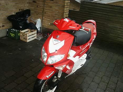 Peugeot Speedfight WRC 206 billede 1