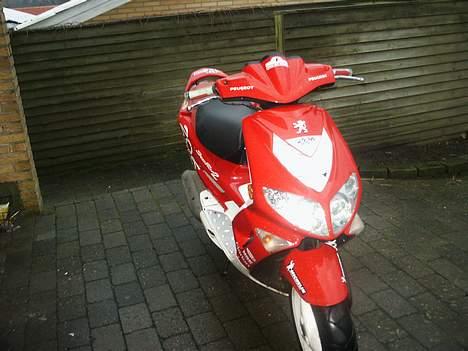 Peugeot Speedfight WRC 206 billede 2