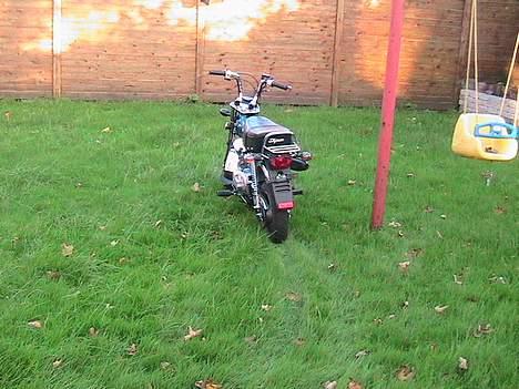 Honda  skyteam dax - Jeg skal hvist have slået græs  billede 11