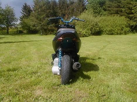 Aprilia Sonic billede 7