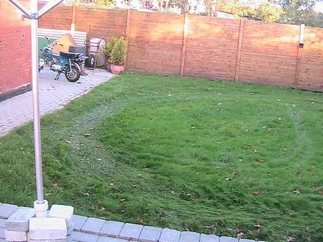 Honda  skyteam dax - Sådan kan man jo også ordne græsset mine forældre kunne bare ikke lide det ;) billede 12