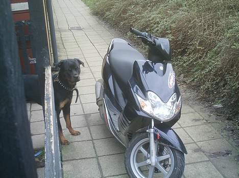 Yamaha jog r (solgt) billede 2