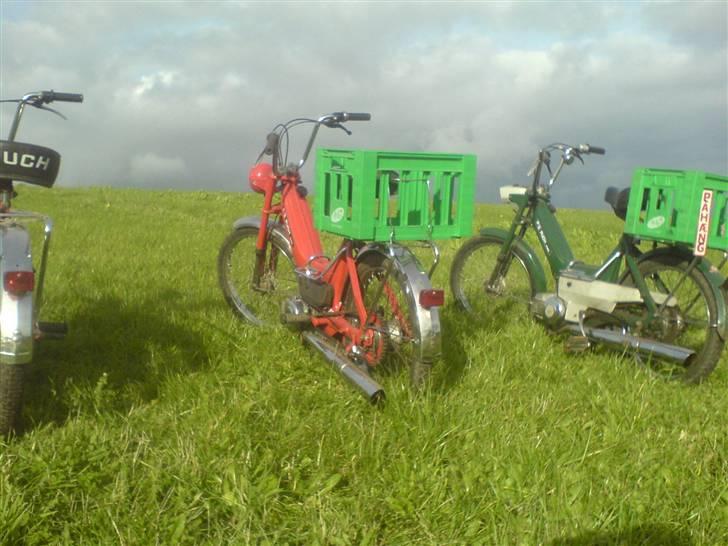 Puch Maxi K - Solgt - September - sidste billeder. billede 2