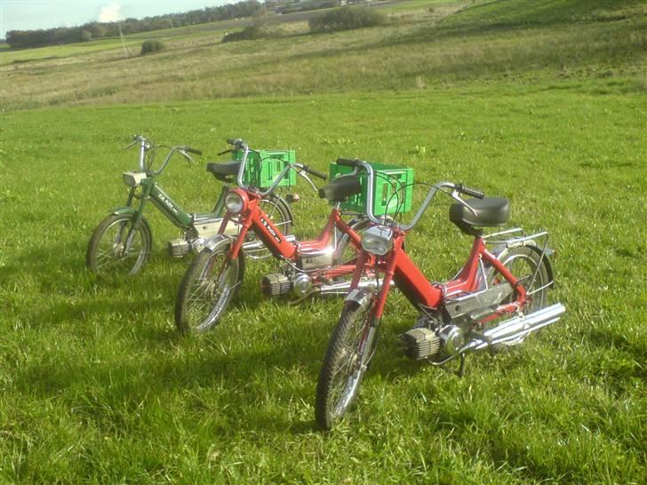 Puch Maxi K - Solgt - September - sidste billeder. billede 4