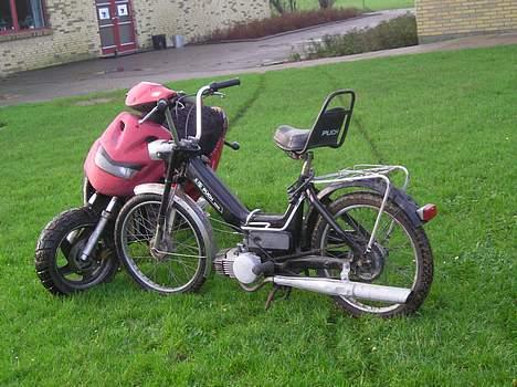 Puch Maxi K "SOLGT" - Sammen med min Pop billede 8