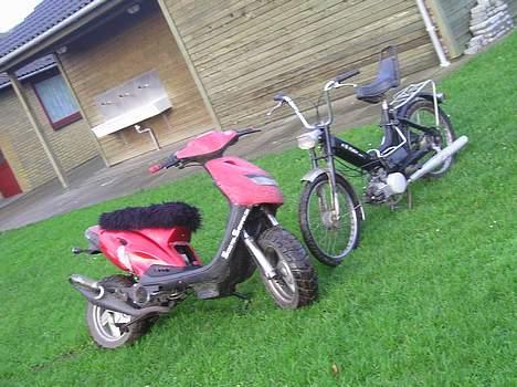 Puch Maxi K "SOLGT" - Sammen med min Pop billede 9