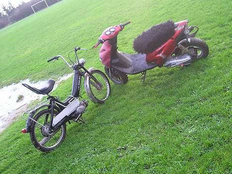 Puch Maxi K "SOLGT" - Sammen med min Pop billede 10