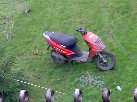 Piaggio Nrg Sport byttet til bws billede 2