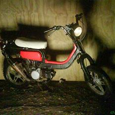 Suzuki fz50  (projekt)