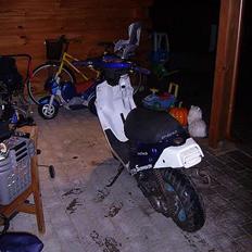 PGO Hot50 (Byttet Easy rider)